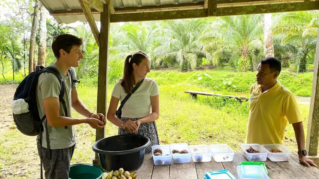 Half-Day Tour to Krabi Elephant Care House Experience