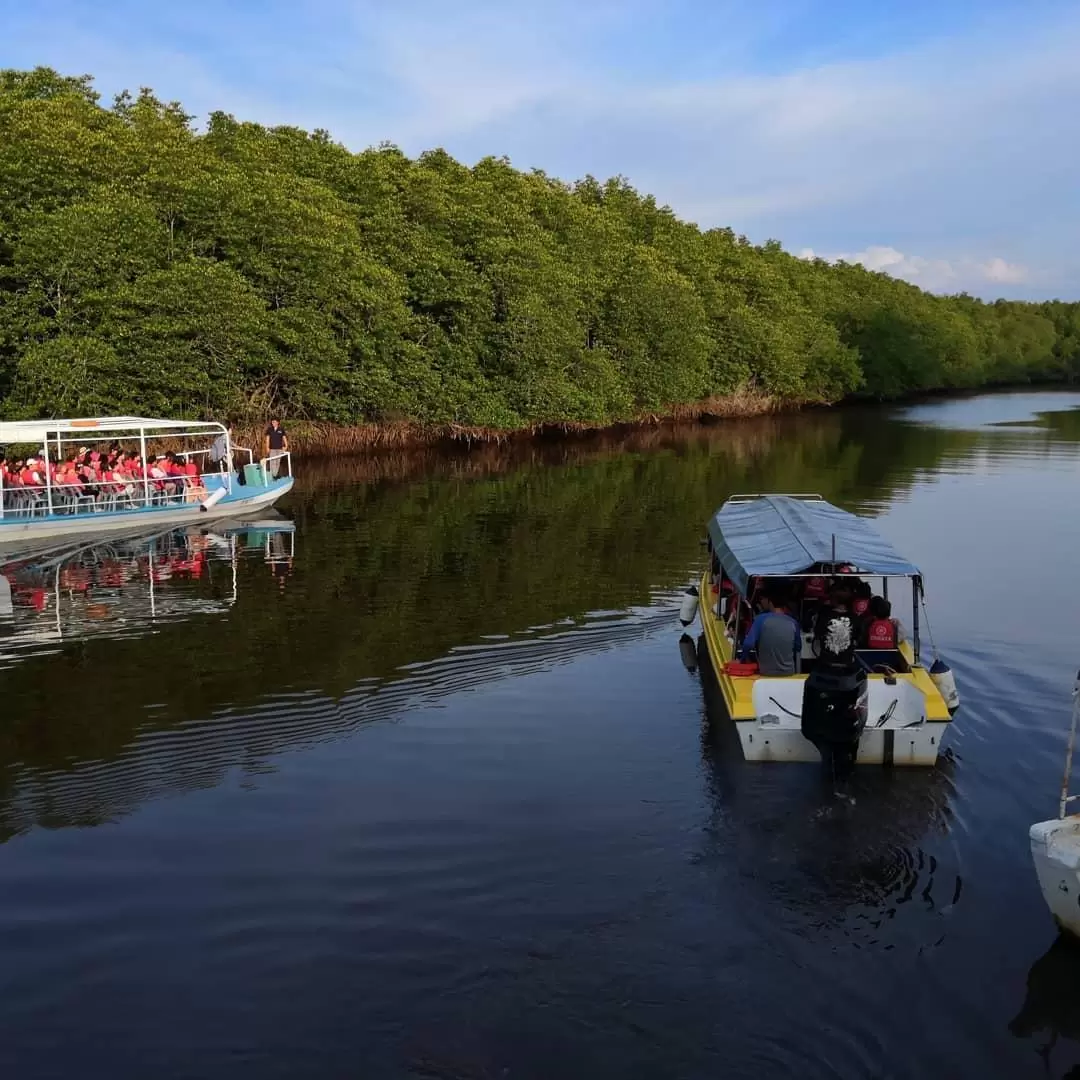 Kawa Kawa Fireflies Sunset Cruise