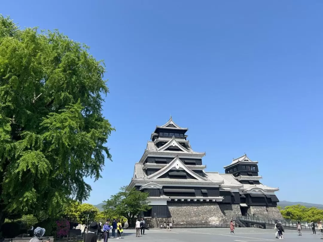 Kumamoto Castle and Kurokawa Onsen Day Tour from Fukuoka with Lunch