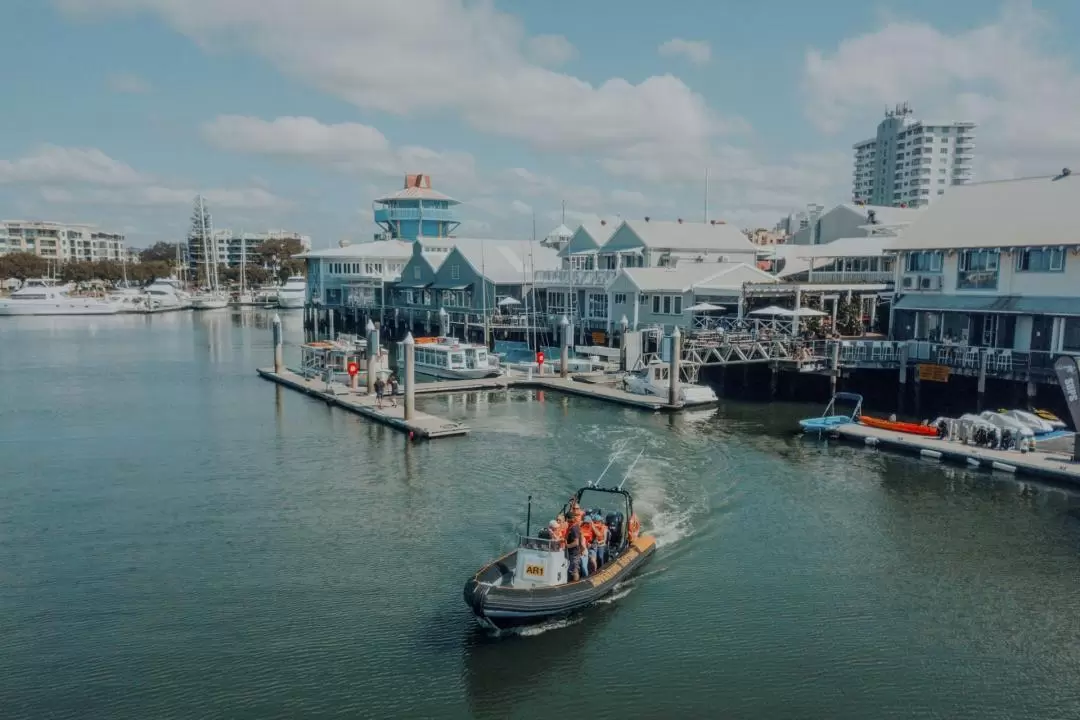 莫洛拉巴海滨激流泛舟体验＆赏海龟之旅