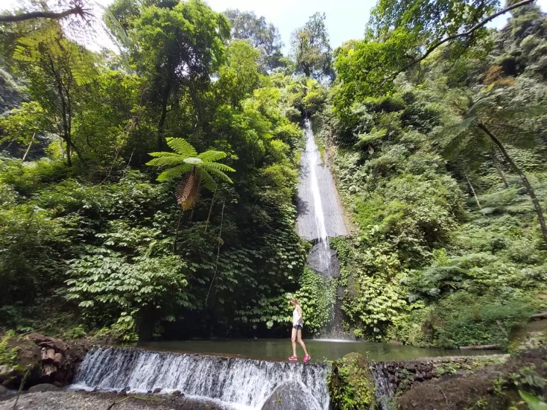 Seven Wonder Waterfalls Trekking Day Tour In North Bali