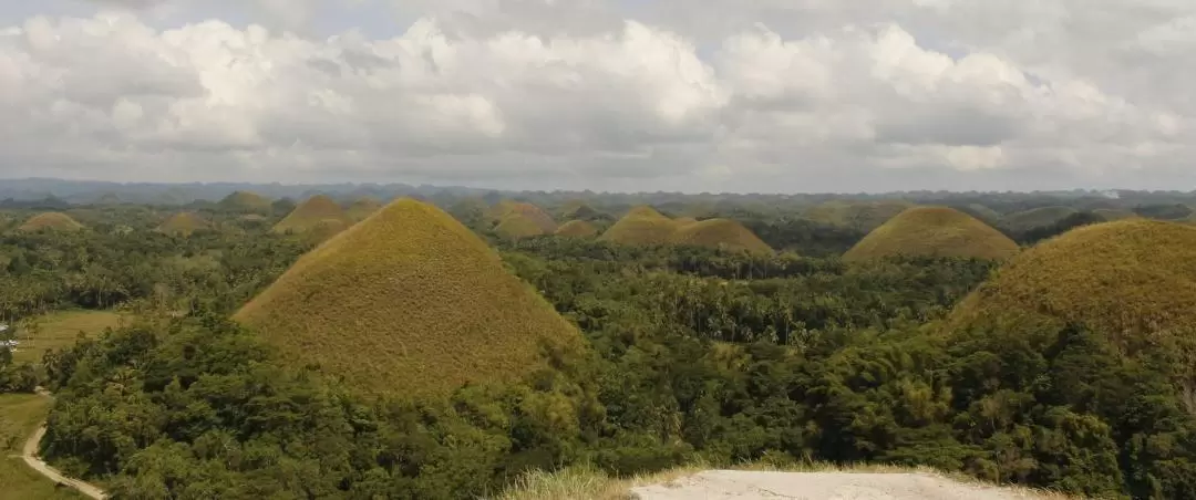 Bohol Countryside Tour