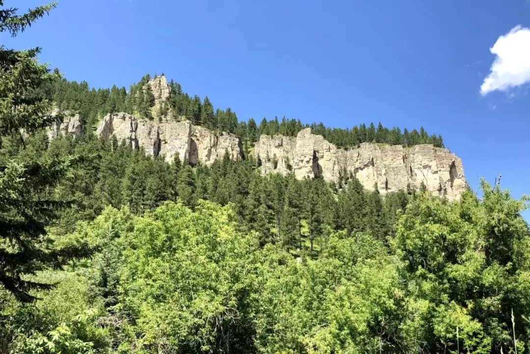 Devils Tower, Spearfish Canyon, and Deadwood Adventure Tour