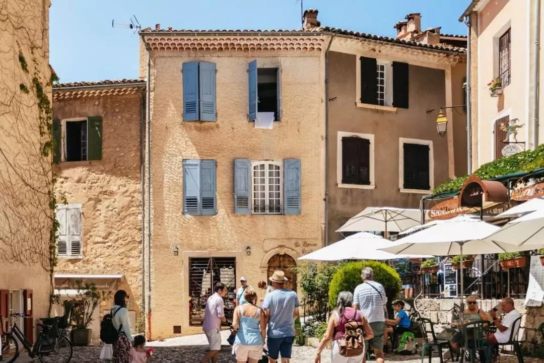 Verdon Gorge and Lavender Fields Day Tour from Nice