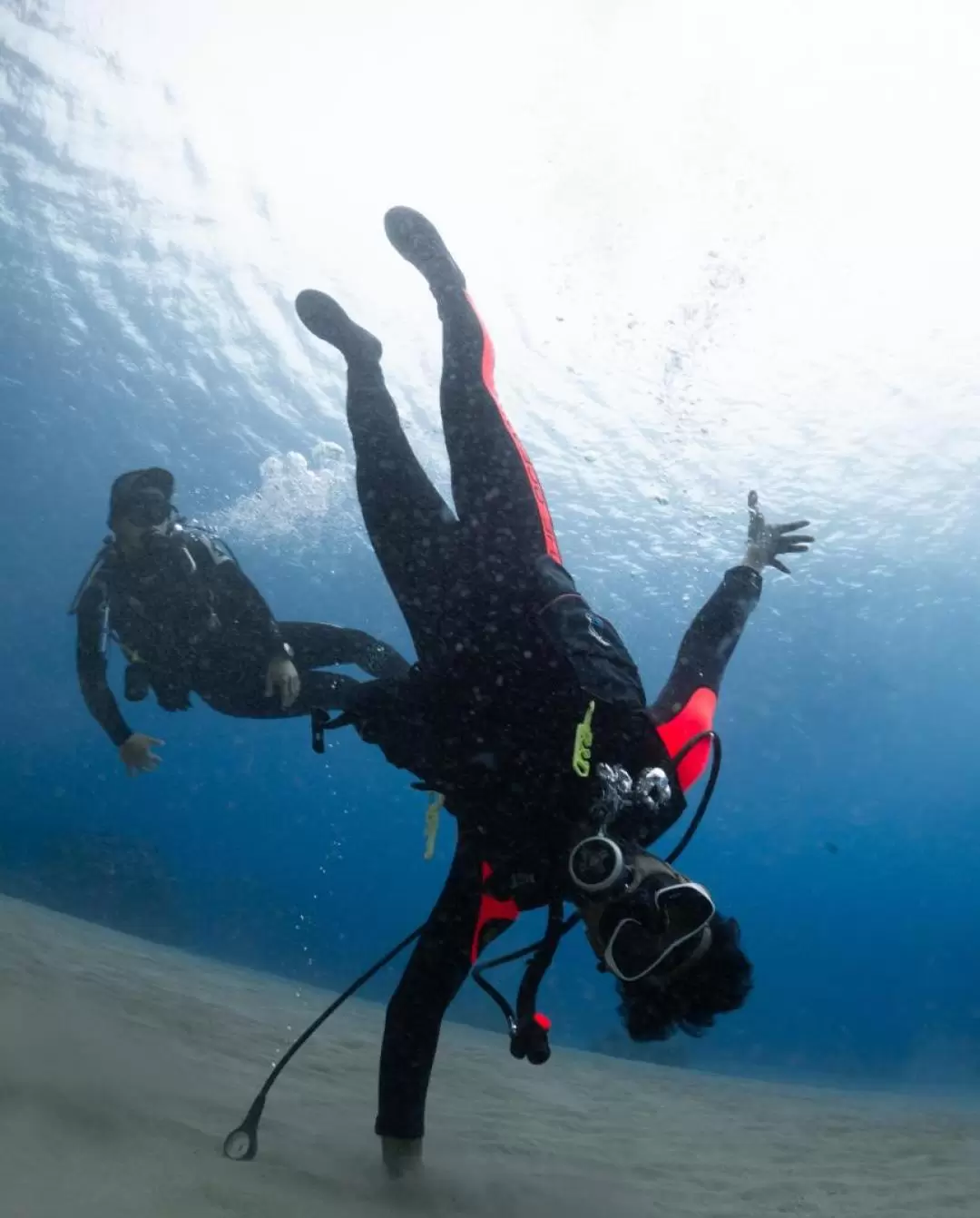 蘭嶼潛水｜台東｜蘭嶼藍海屋潛水渡假村｜體驗潛水・PADI・SSI潛水考照課程