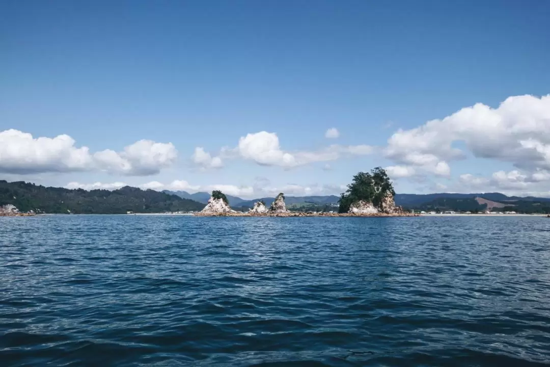 Whenuakura島（冬甩島）獨木舟之旅（漢密爾頓出發）