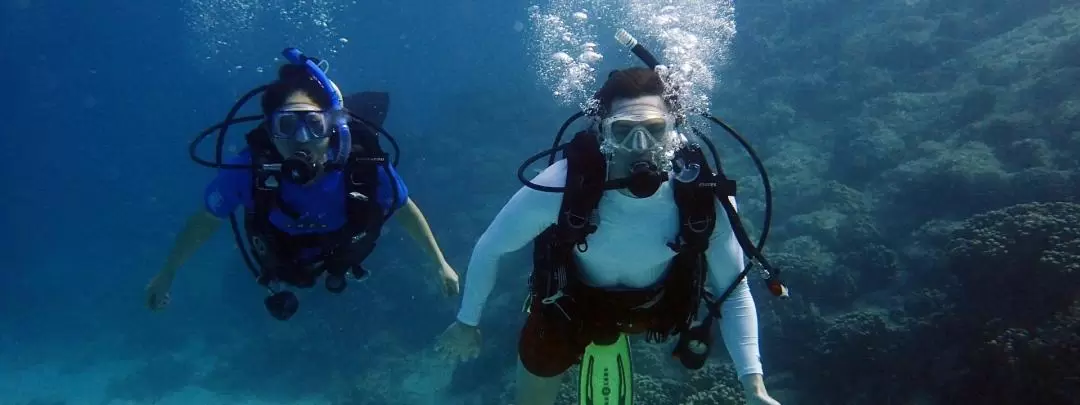 關島最佳沙灘潛水體驗（認證潛水員適用）