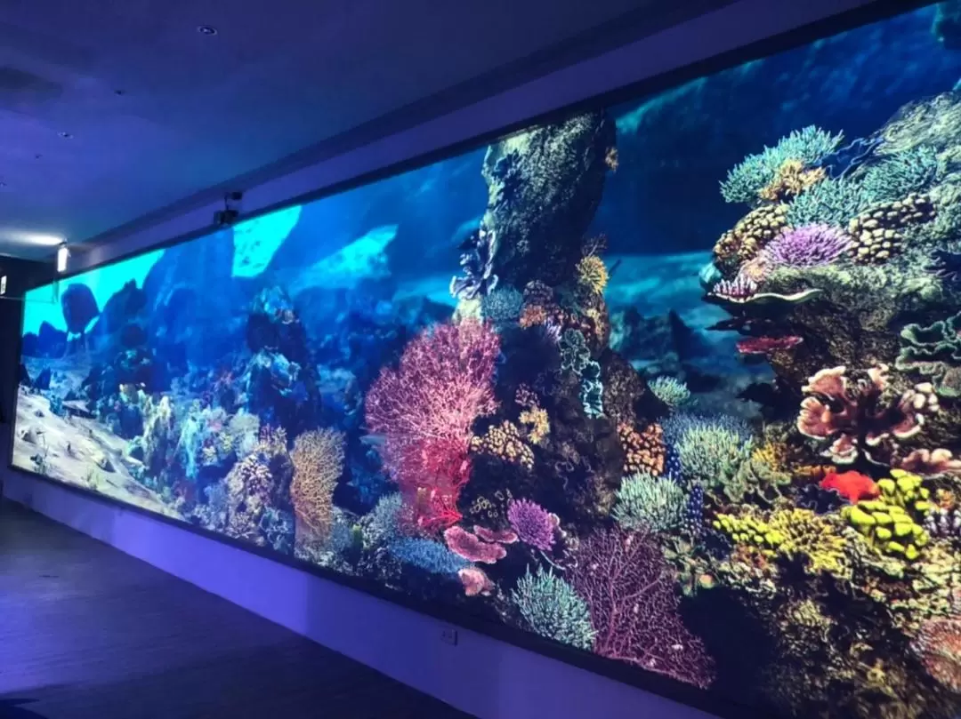 潮境智能海洋館 i OCEAN 入館チケット（基隆）