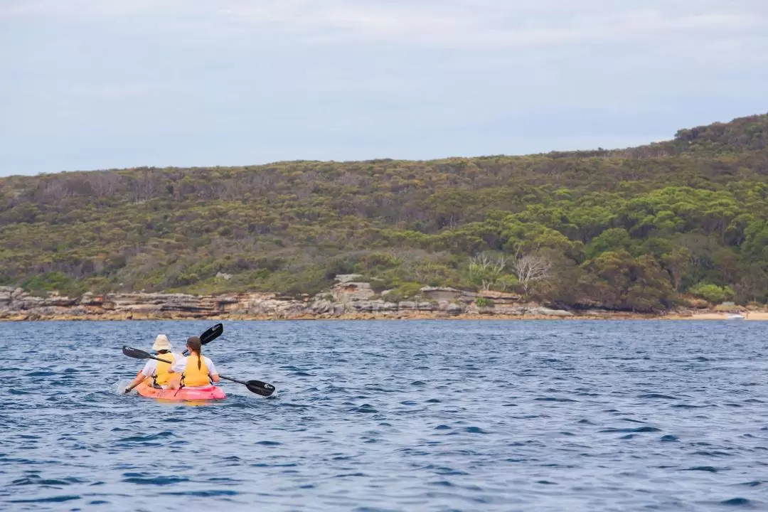 Guided Kayak Tour from Manly Beach