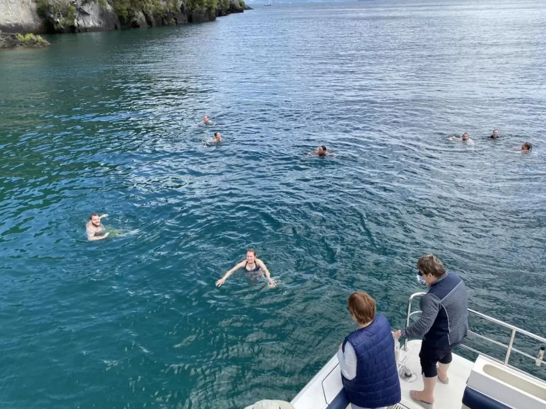 Catamaran Cruise to the Maori Rock Carvings