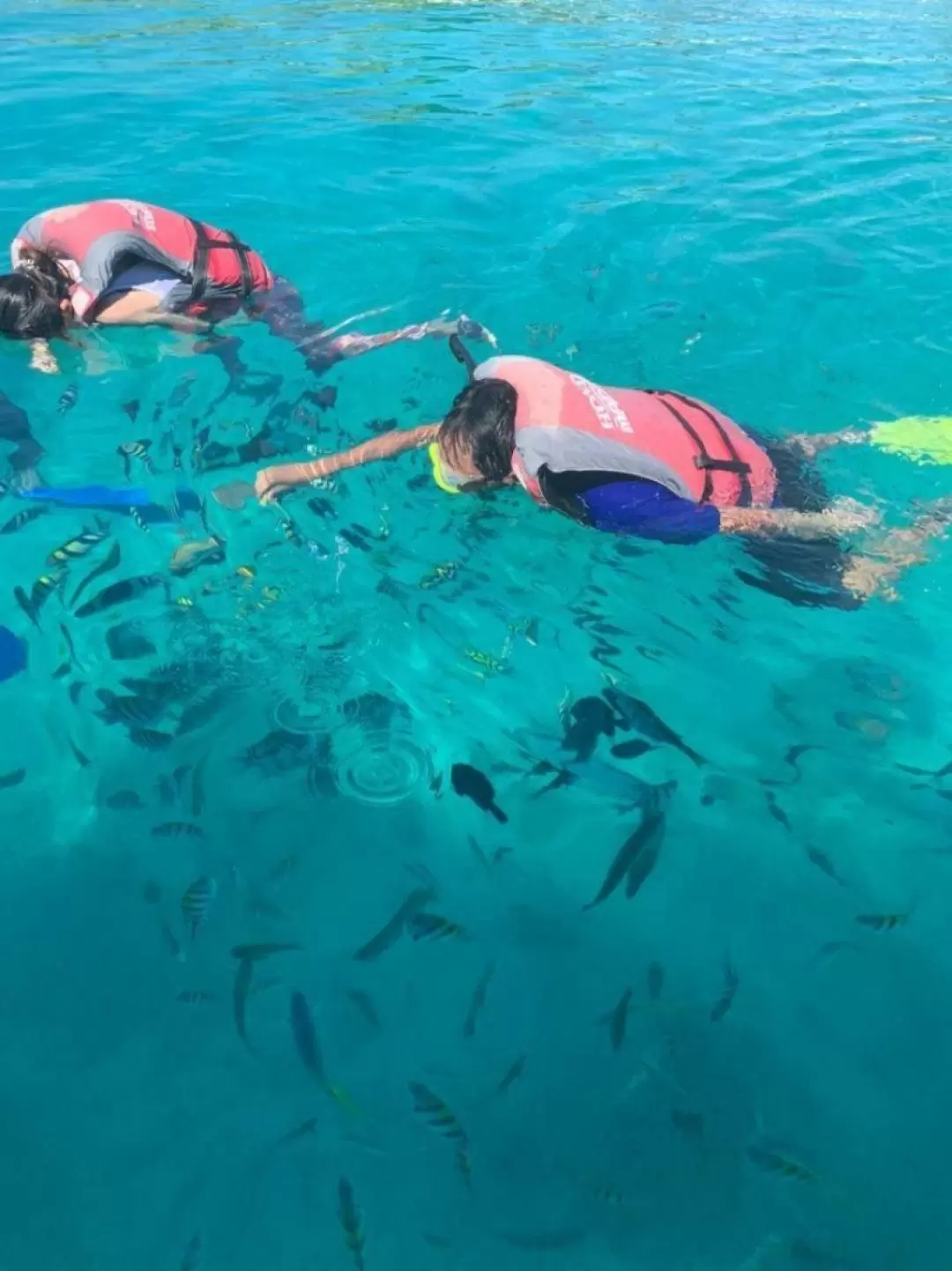 Mabul and Kapalai Island Snorkeling Tour in Semporna