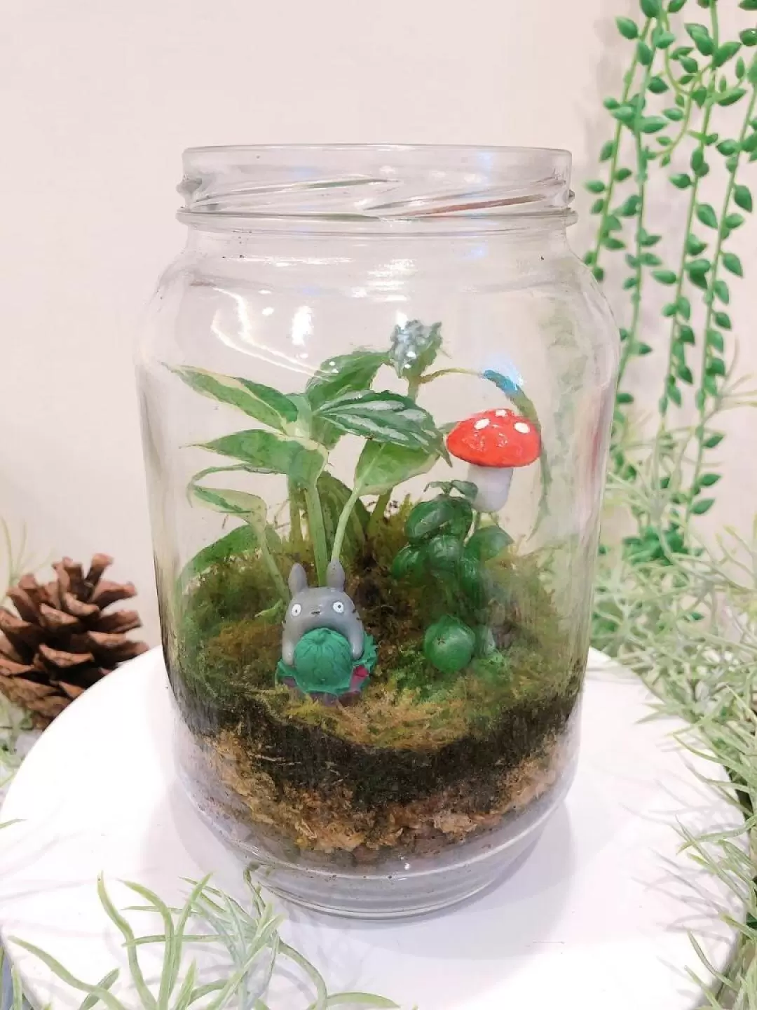 Plant Terrarium DIY Experience in Taichung