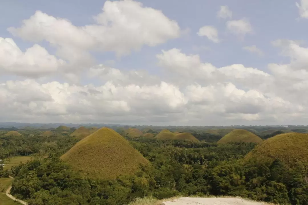 Bohol Countryside Tour