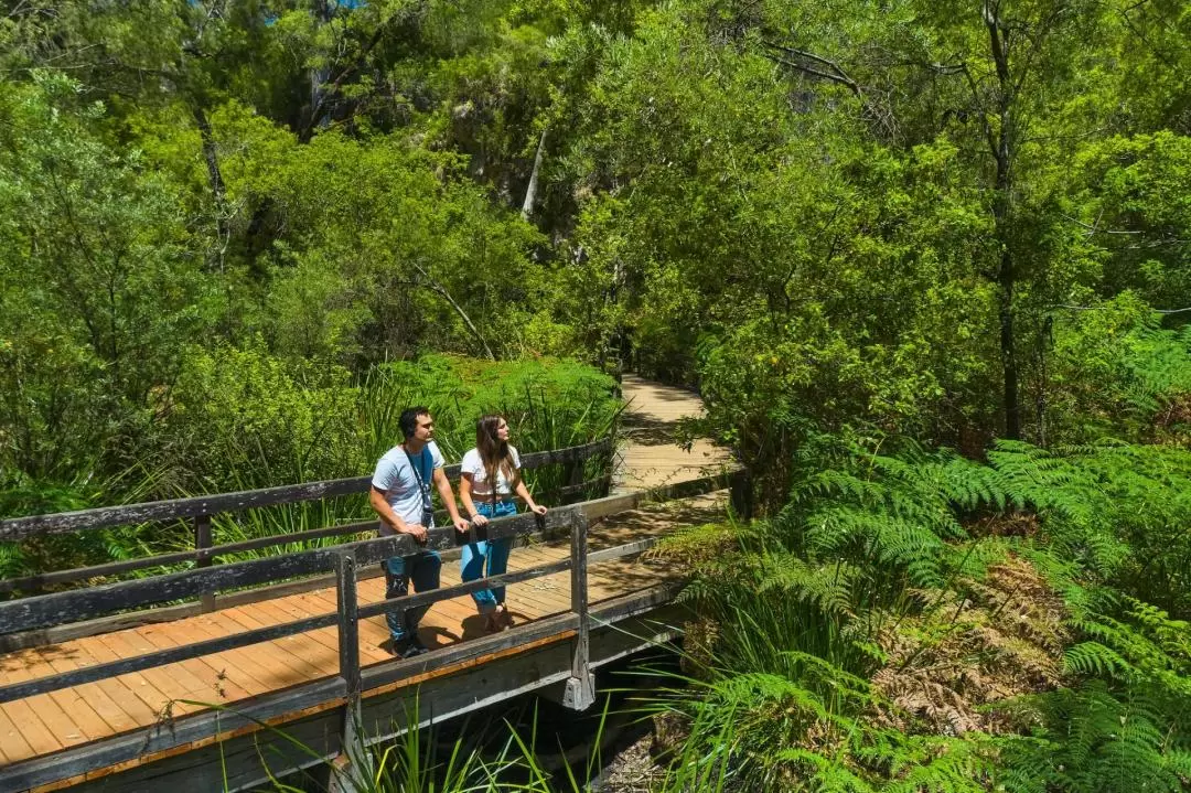 Mammoth Cave Self-Guided Audio Tour in Margaret River