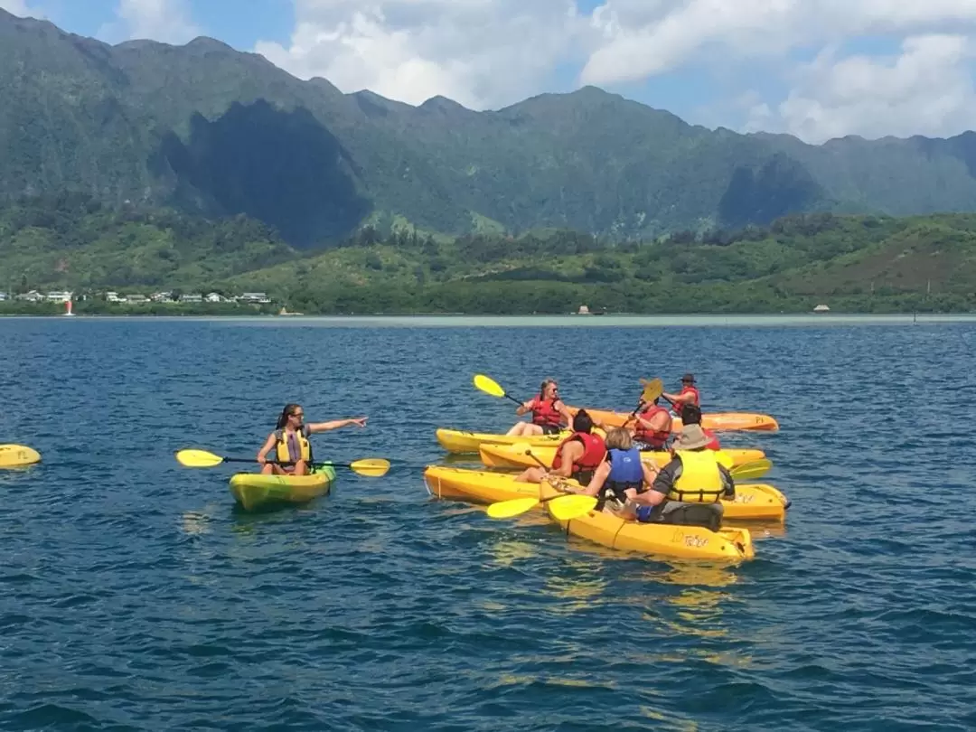 Single Kayak Rentals at Kane'ohe Bay