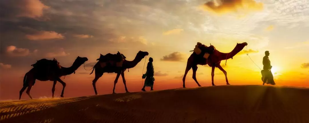 杜拜日落駱駝騎行之旅（含 BBQ 晚餐）