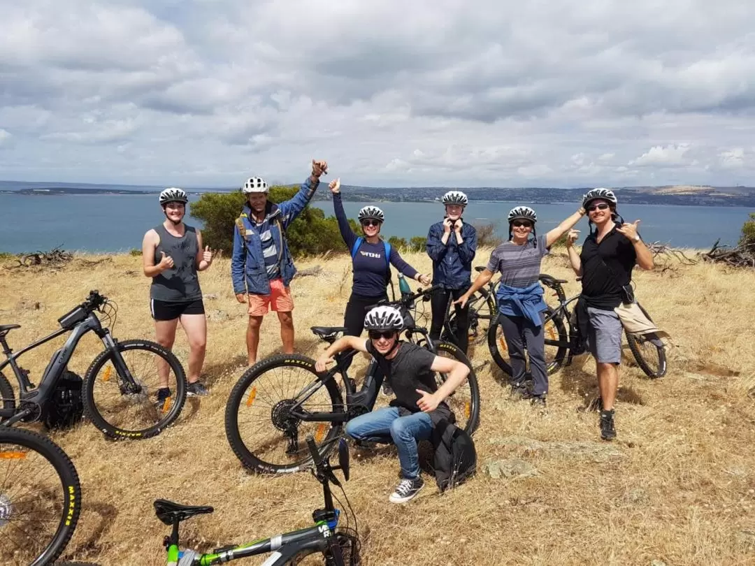 Guided Electric Mountain Bike Adventures Tour