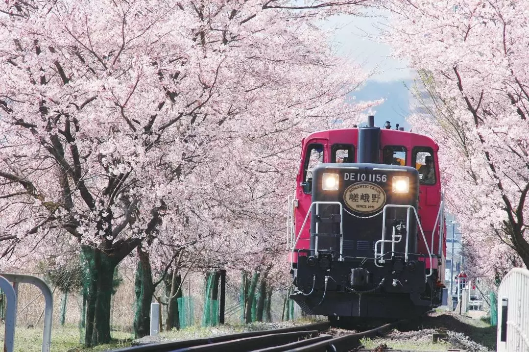 Kyoto Sagano Romantic Train Day Tour