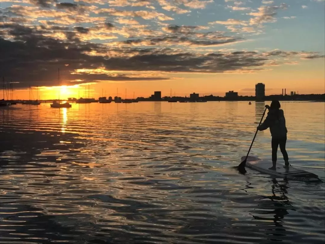 Stand Up Paddle Board Lesson in Melbourne