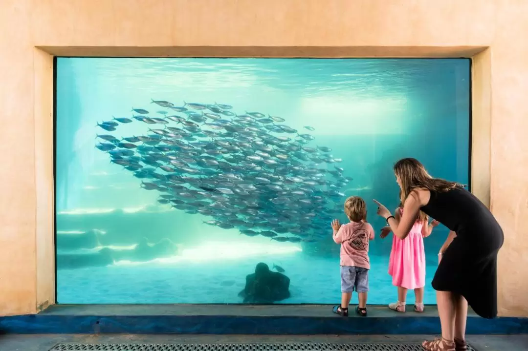 AQWA Aquarium Of Western Australia Entry Tickets