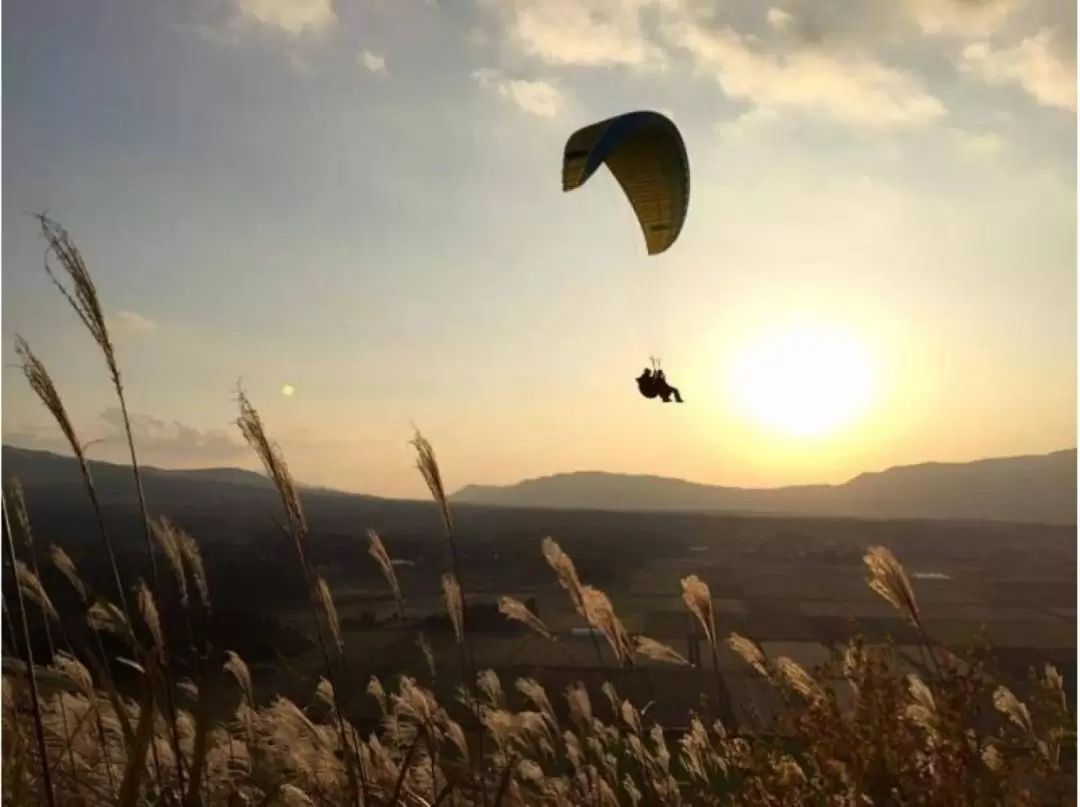 Tandem Paragliding in Aso