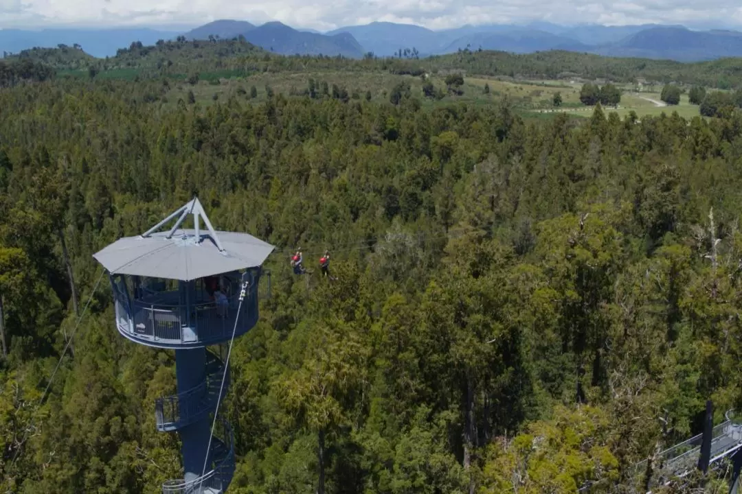 West Coast Tree Top Tower Zipline & Walkway