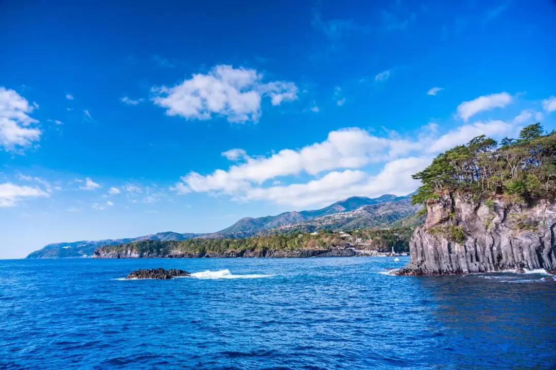 靜岡伊豆｜大室山&城ヶ崎海岸&熱海花火大會一日遊｜東京出發