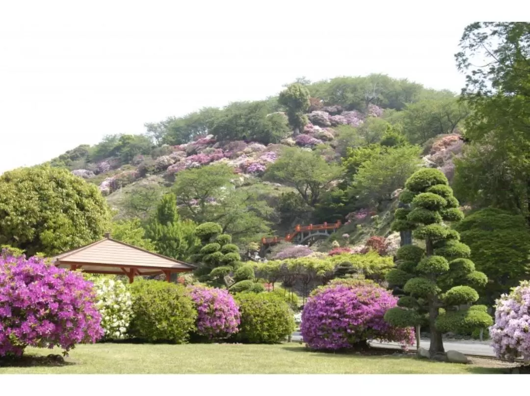 祐德稻荷神社之旅與神道教傳統與表演