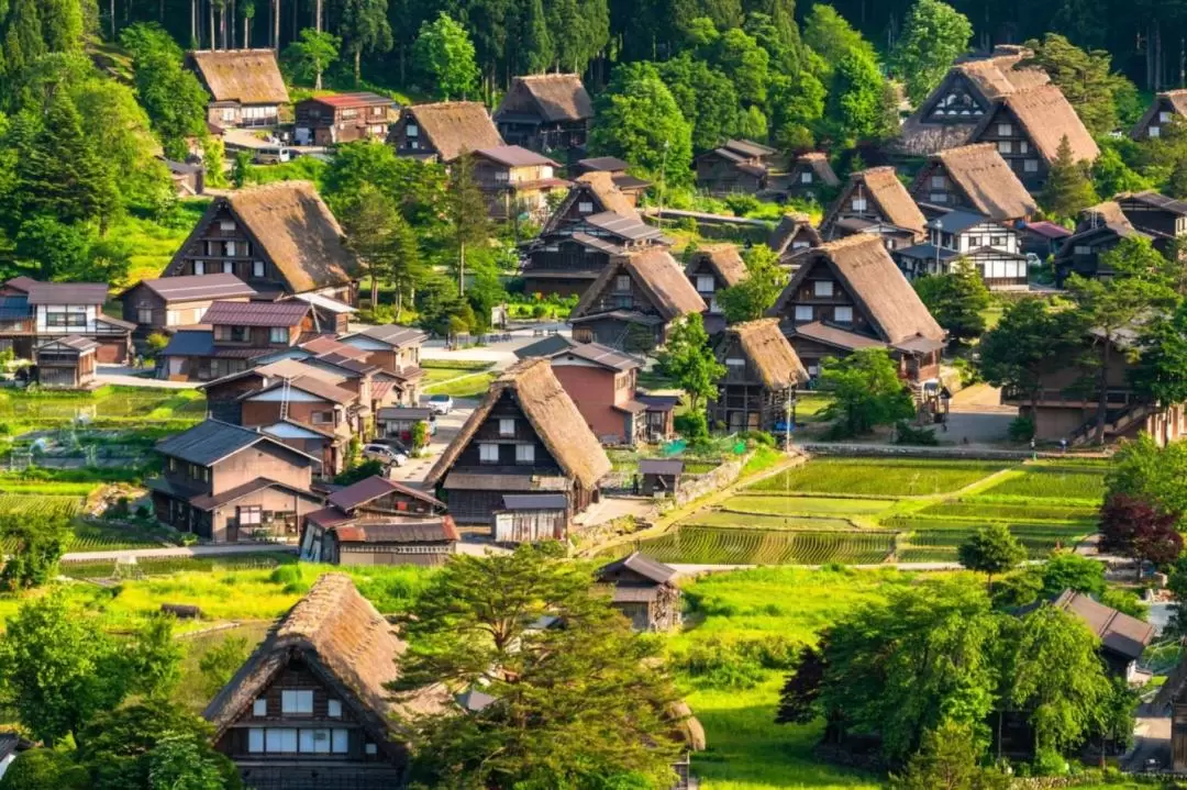 2D1N Shirakawa-go & Takayama & Hirase Onsen Tour from Tokyo