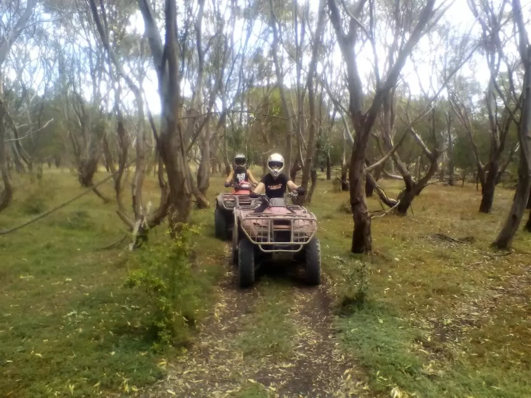 Quad Bike Adventure Tour from Melbourne