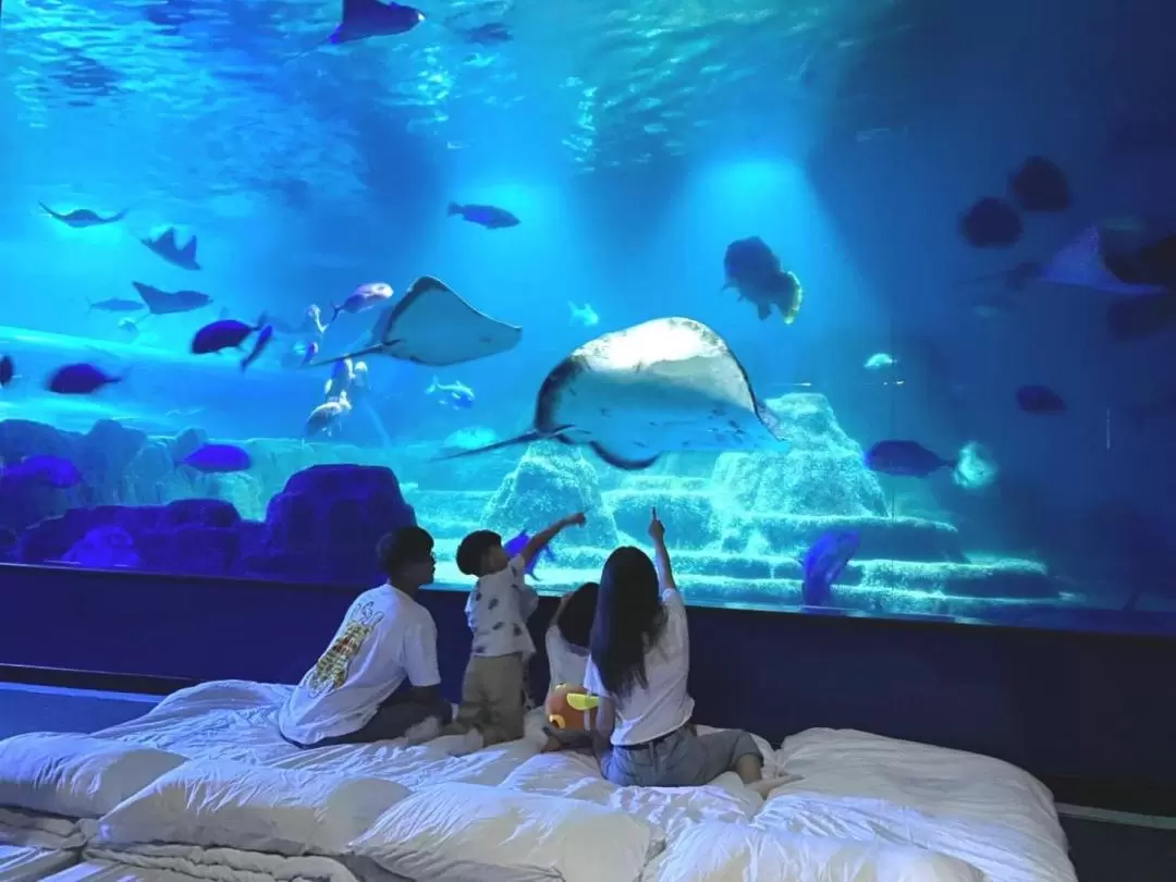 Farglory Oceanpark Sleepover Experience in Hualien