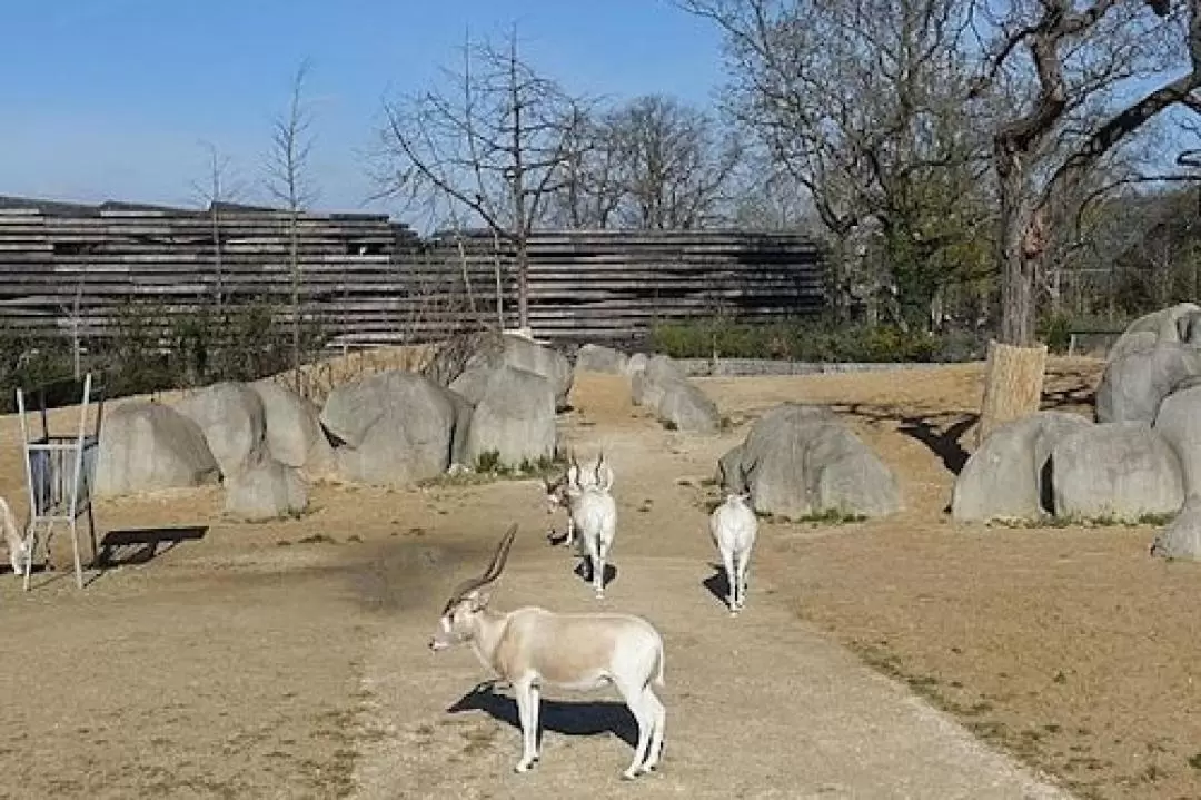 巴黎動物園門票