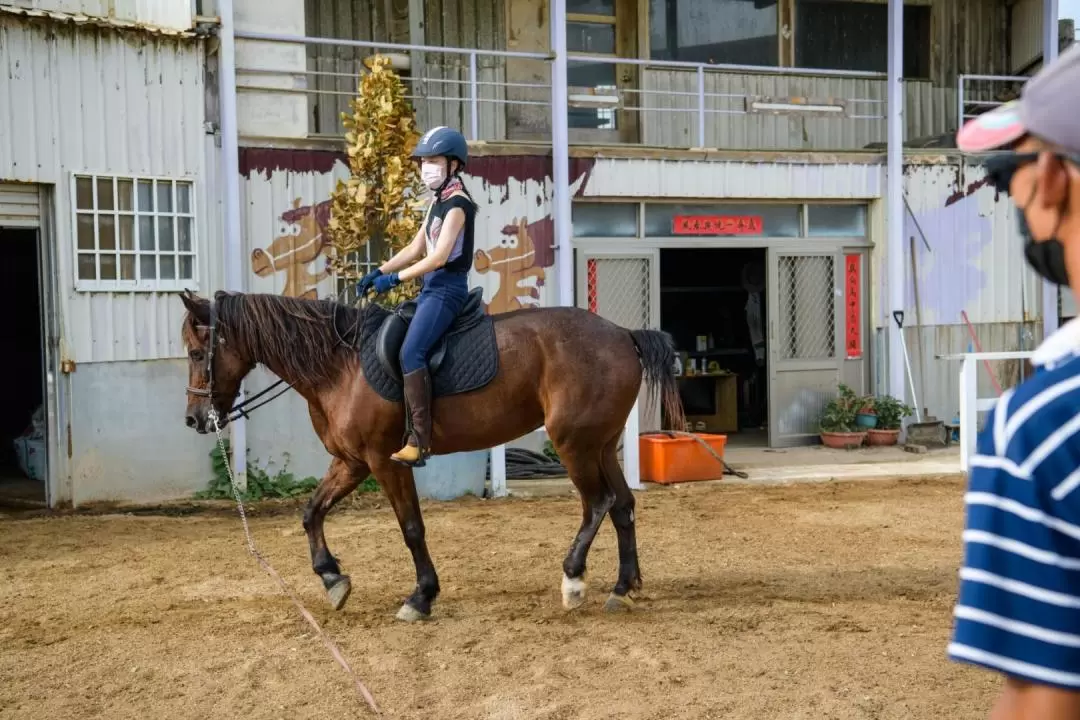 澎湖戶外活動: 驫風馬場騎馬體驗＆餵馬＆馬匹知識教學