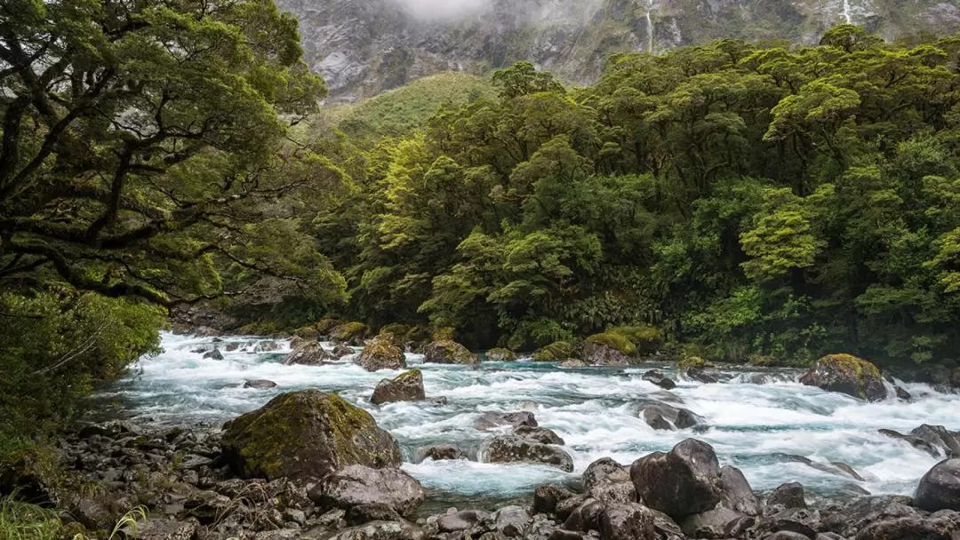 Premium Milford Sound Small Group Tour from Queenstown or Te Anau