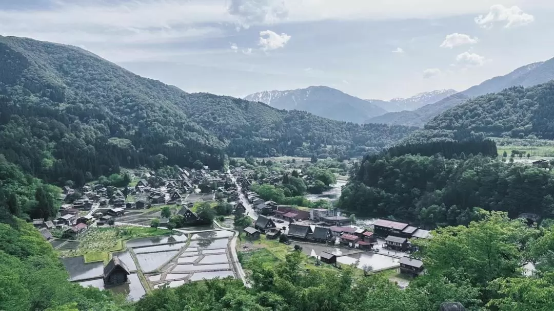 2天1夜 上高地 & 白川鄉之旅（名古屋出發）