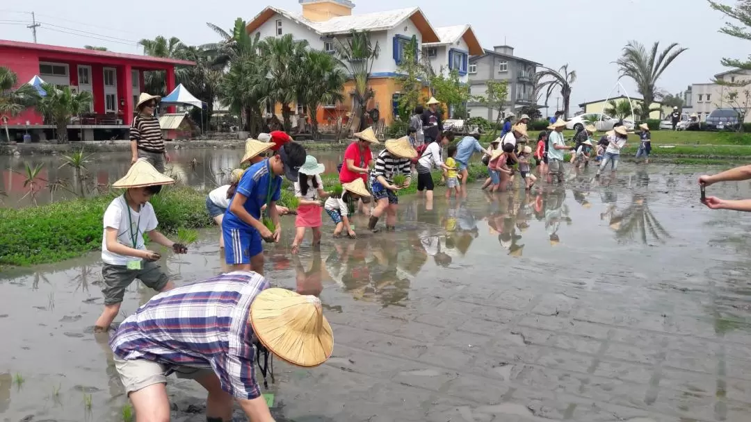 Farming Experience in Yilan by Liya Farm