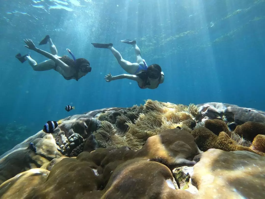 Four Spots Snorkelling Experience in Nusa Lembongan