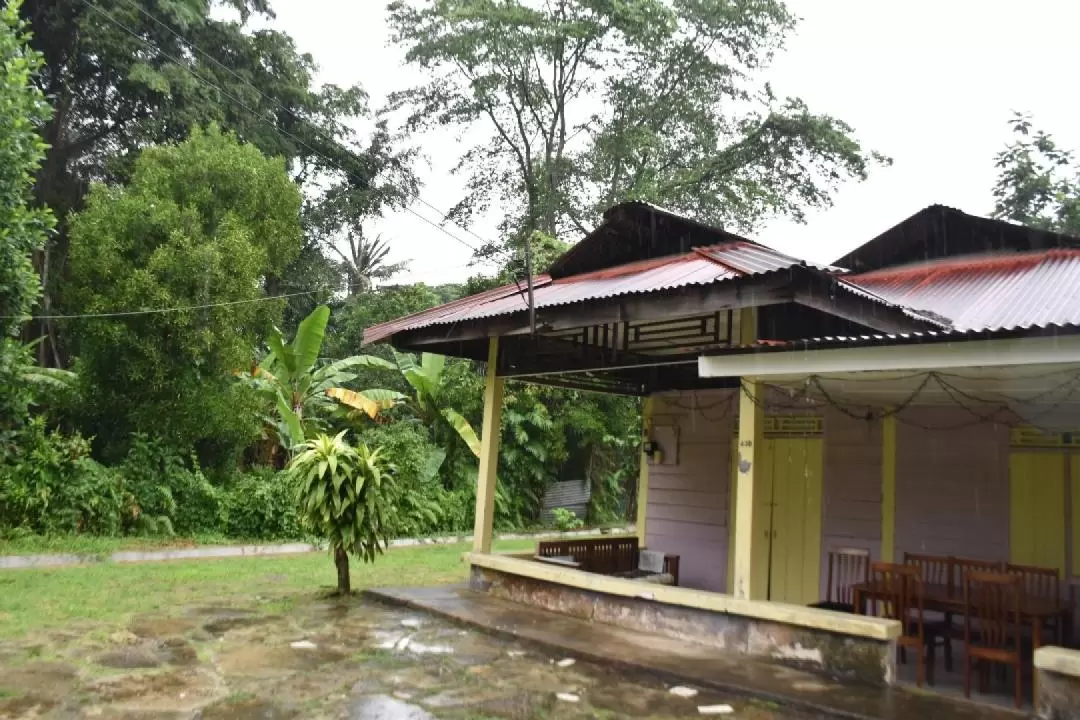 The Last Kampong of Singapore Private Tour