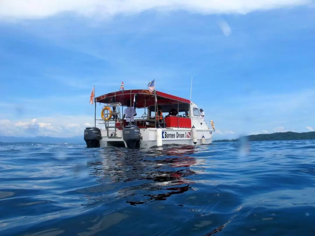 PADI Guided Snorkeling Experience in Tunku Abdul Rahman National Park