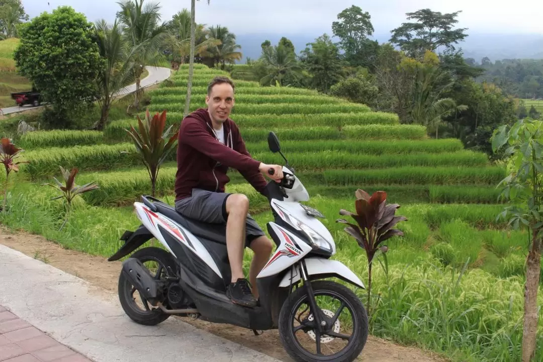 Guided Bali Custom Tour with Optional Scooter Rental