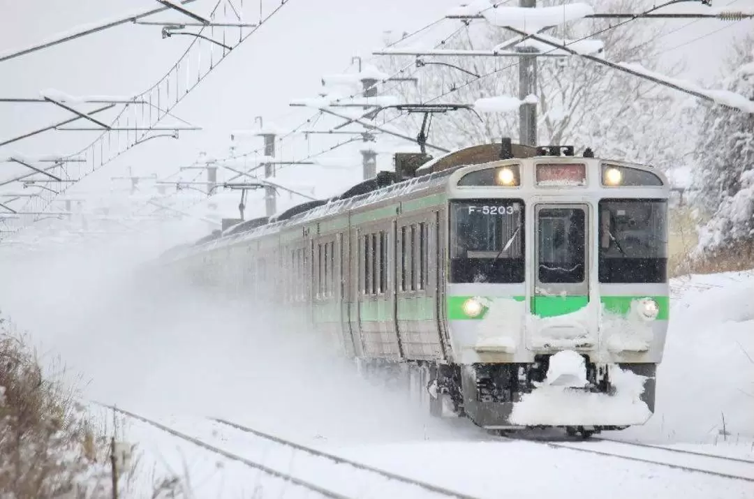 JR札幌 - 登别区域铁路周游券