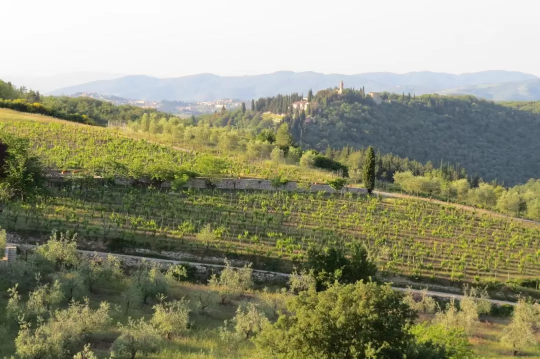 Highlights of Tuscany: Siena, San Gimignano, Chianti and Pisa