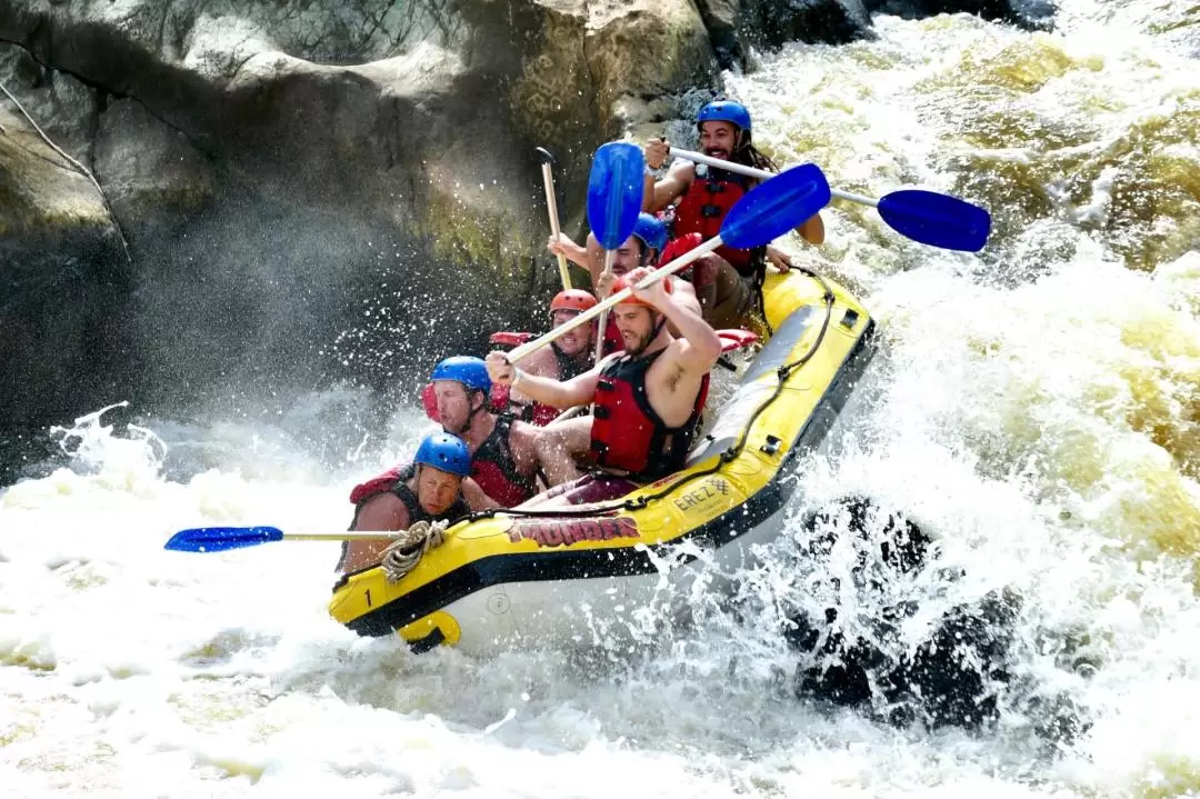 Afternoon Barron River Rafting in Cairns