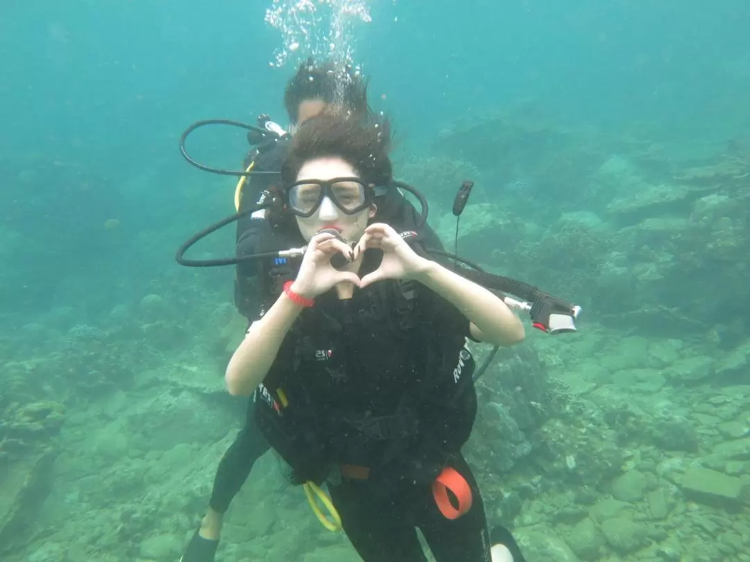 Scuba Diving Experience at Coral Reef from Nha Trang