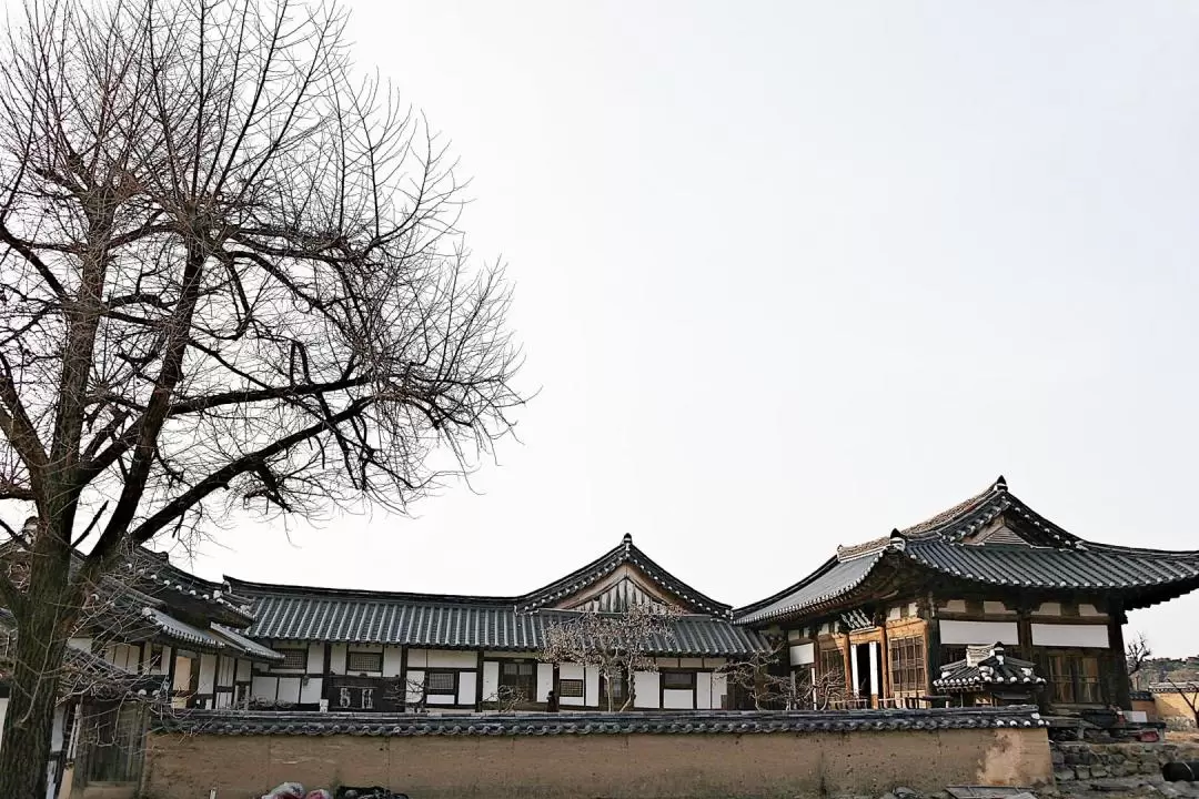 Andong UNESCO Heritage Full Day Tour from Seoul