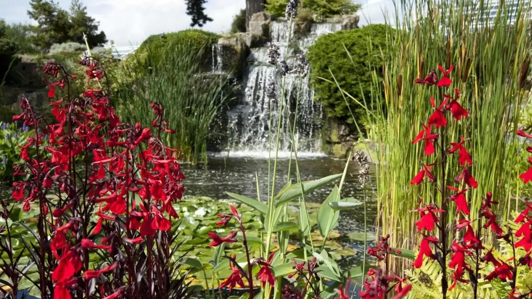 キューガーデンズ 王立植物園 入場チケット（ロンドン）