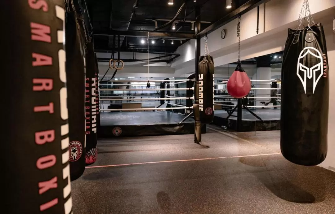 新加坡斯巴達拳擊俱樂部（Spartans Boxing Club）