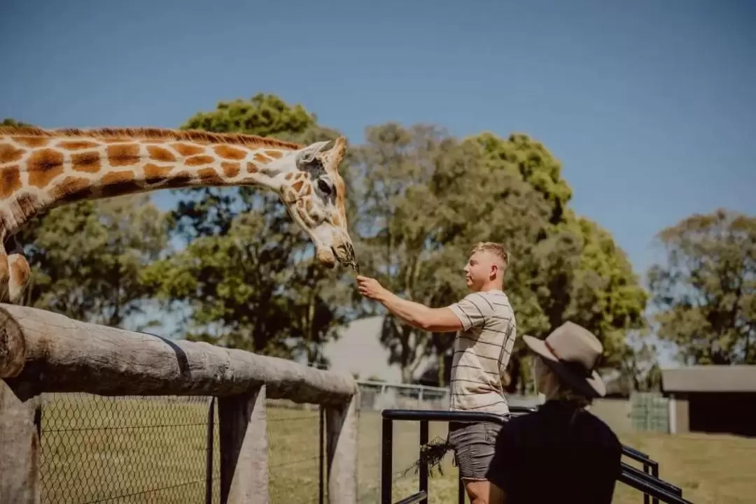 Hunter Valley Wildlife Park Ticket