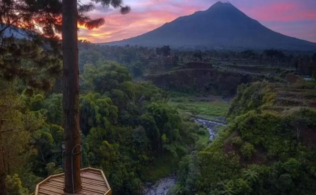 Instagramable Kedung Kayang Waterfall, Setumbu Hill and Borobudur Temple Tour