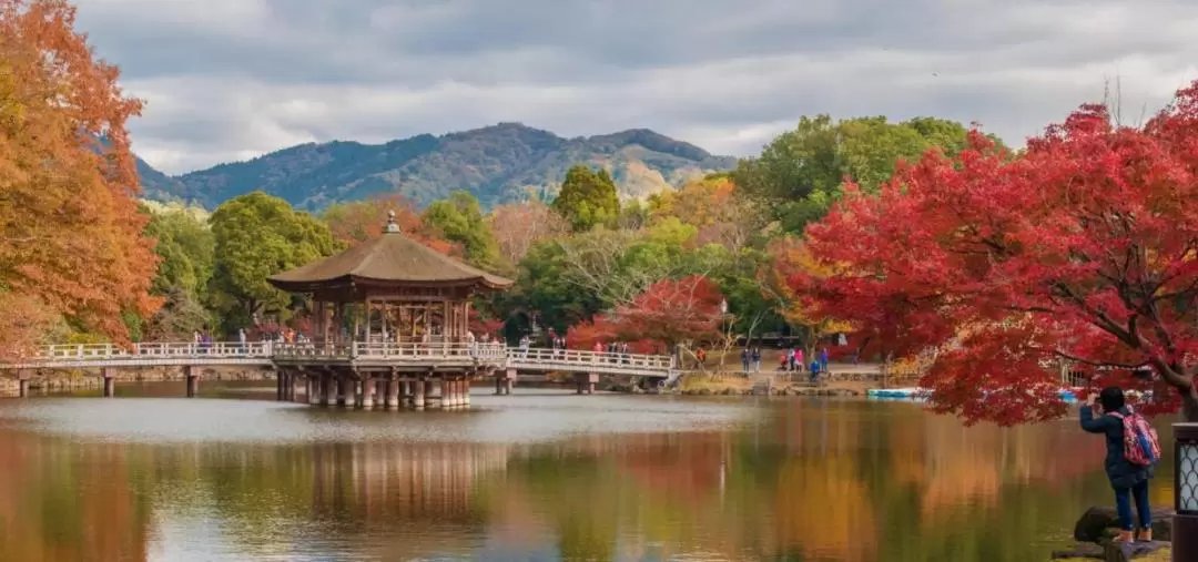 The 7 Great Temples of Ancient Nara Day Tour